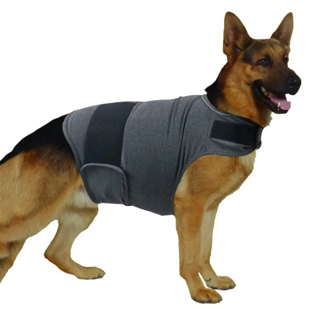 Jaqueta Anti-Ansiedade para Cães - Casaco Confortável Respirável e Ajustável para Atividades ao Ar Livre