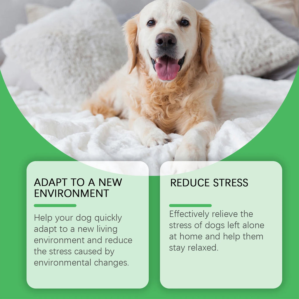 Kit Difusor Calmante para Cães - Para Aliviar Ansiedade e Estresse em Novos Ambientes
