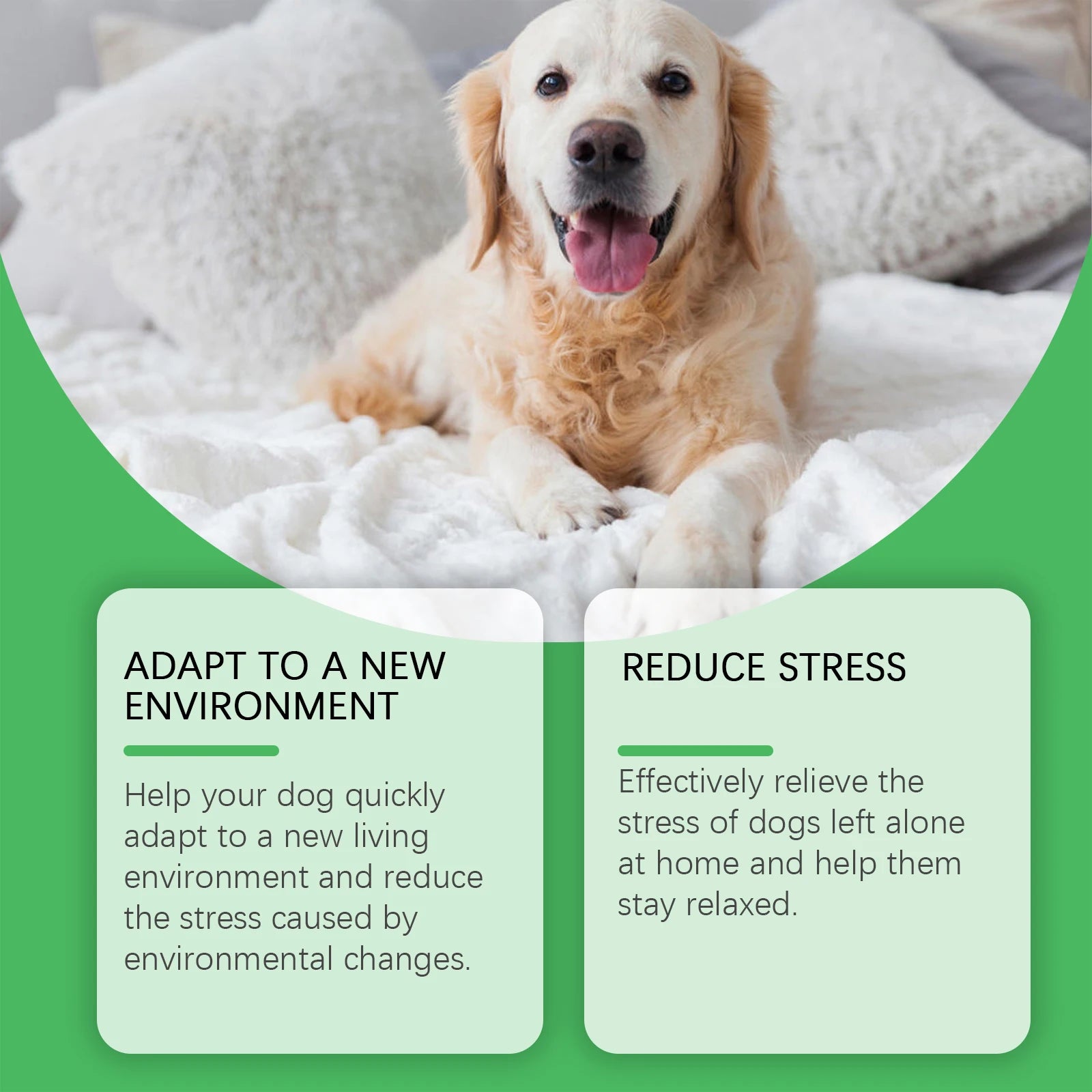 Kit Difusor Calmante para Cães - Para Aliviar Ansiedade e Estresse em Novos Ambientes