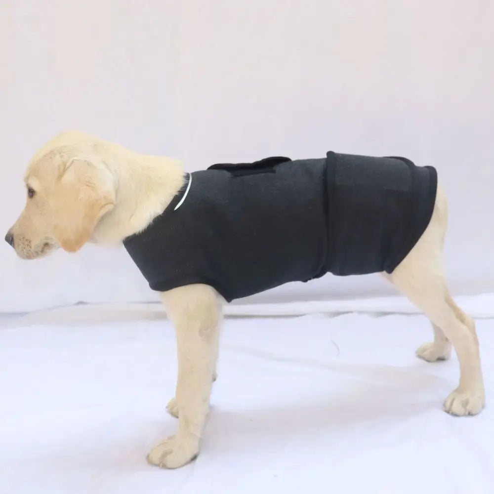 Jaqueta Anti-Ansiedade para Cães - Casaco Confortável Respirável e Ajustável para Atividades ao Ar Livre