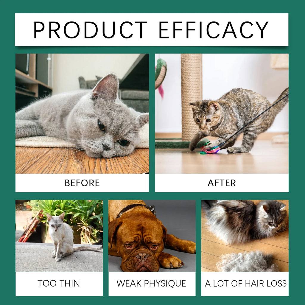 Suplemento Alimentar Anti-Ansiedade para Pets - Gotas Calmantes de Fácil Administração para Cães e Gatos