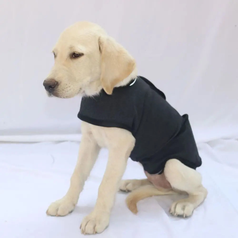 Jaqueta Anti-Ansiedade para Cães - Casaco Confortável Respirável e Ajustável para Atividades ao Ar Livre