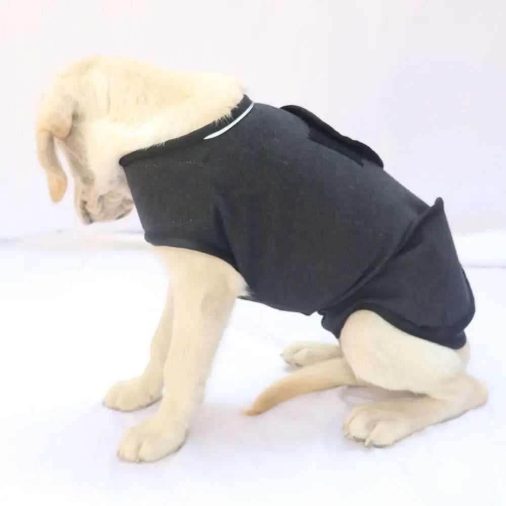 Jaqueta Anti-Ansiedade para Cães - Casaco Confortável Respirável e Ajustável para Atividades ao Ar Livre