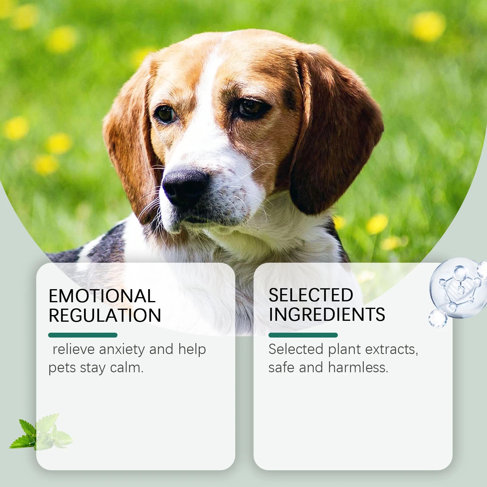 Suplemento Alimentar Anti-Ansiedade para Pets - Gotas Calmantes de Fácil Administração para Cães e Gatos