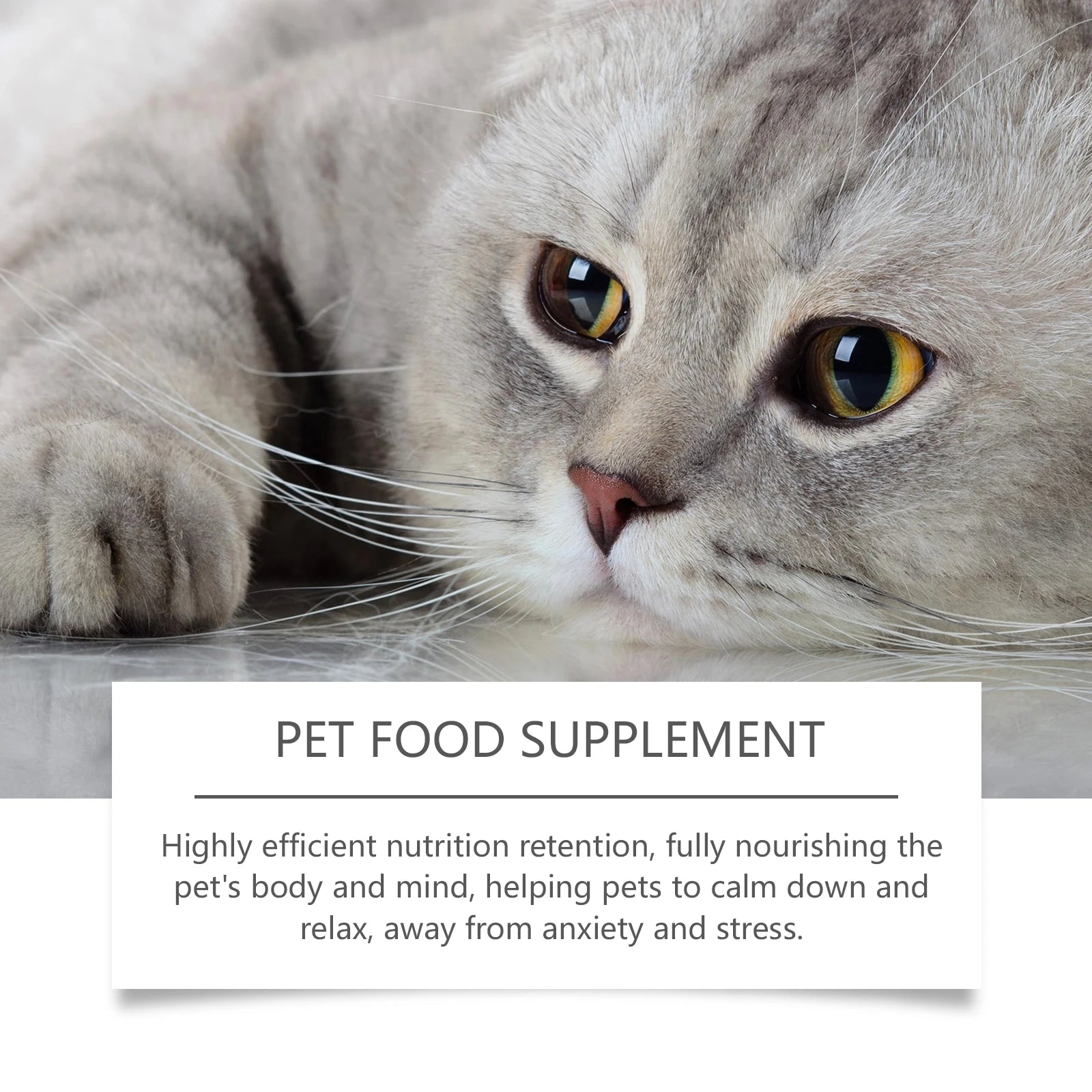 Suplemento Alimentar Anti-Ansiedade para Pets - Gotas Calmantes de Fácil Administração para Cães e Gatos